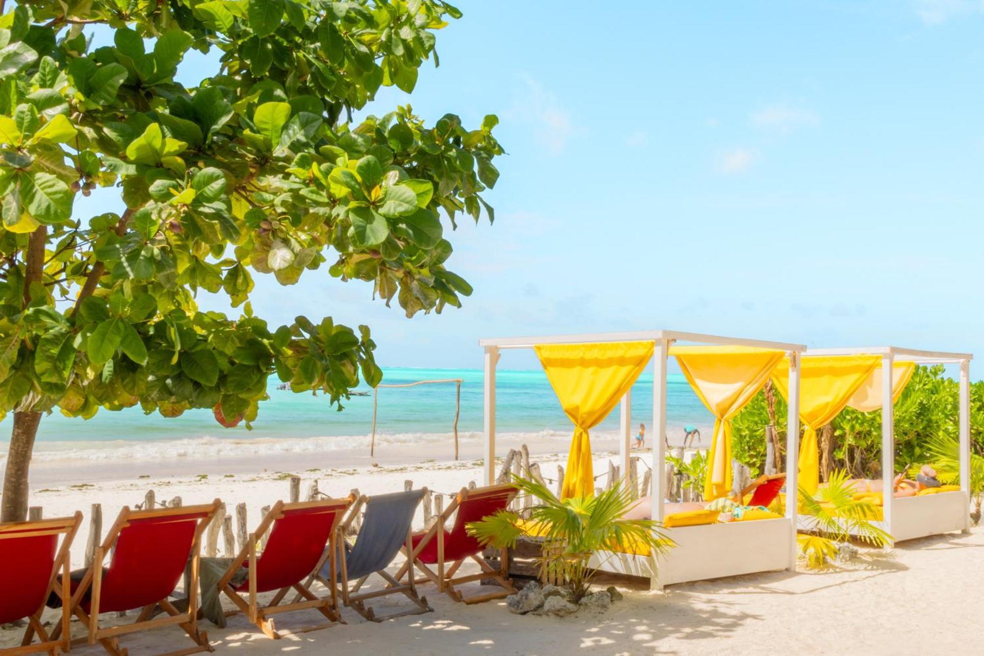 Pili Pili Palm Beach Jambiani  Zewnętrze zdjęcie